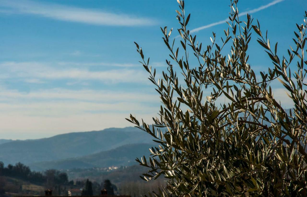 "La Casetta" Pratovecchio Buitenkant foto